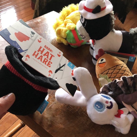 Bundle of 5 small dog toys! Super cute. - Picture 6 of 6